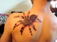 Spider Tattoo