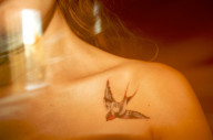 Swallow Tattoos For Women